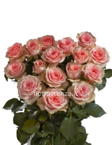 Rose rosa A NUMERO (a partire da un minimo di 3) lunghezza media da comporre a mazzo con verde