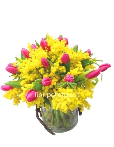 Bouquet di tulipani ROSA, ROSSI O GIALLI e mimosa