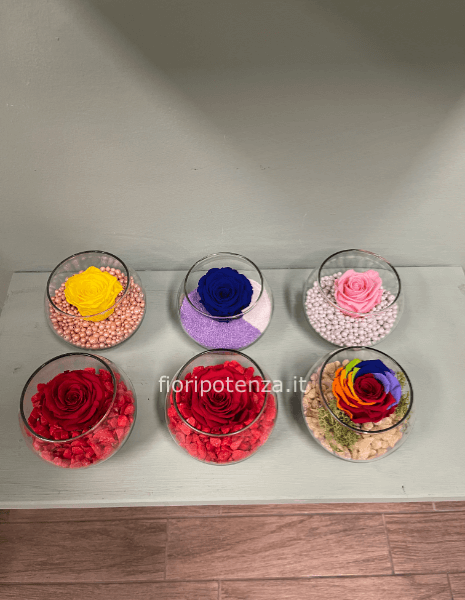 ROSA STABILIZZATA in vetro dai vari colori a scelta del cliente e da concordare telefonicamente con il fiorista